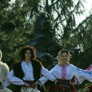 Višnjićevi dani 2013.